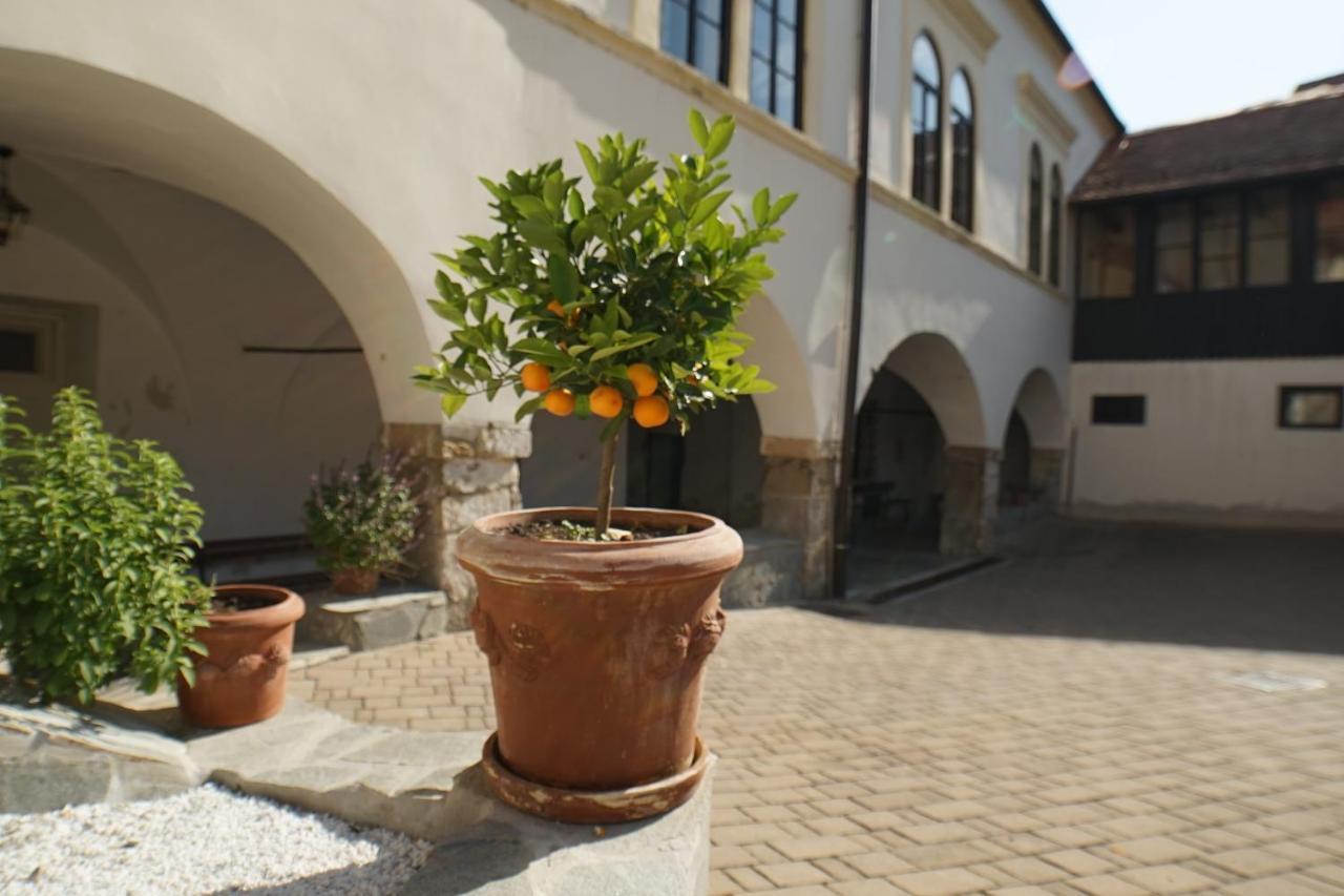 Appartement Sobe Prostija à Ptuj Extérieur photo